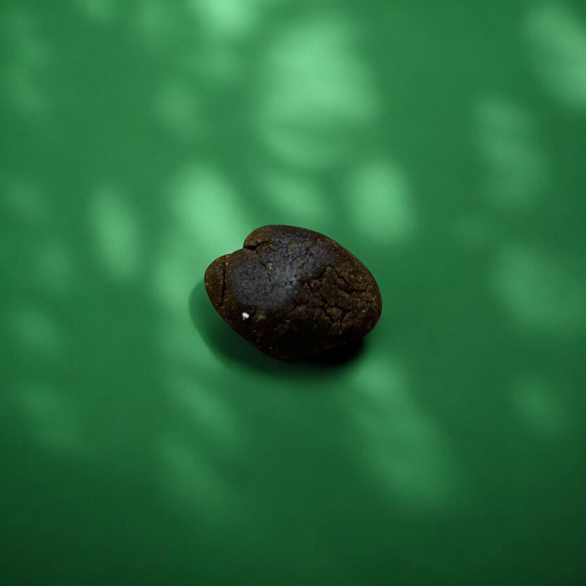Professor Herb Hemp Solid Extract (2g) - Bubble Hash (19%) - Image 5
